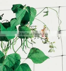 Strong Plastic BOP Net for Climbing Plant/plant Support Net photo-6