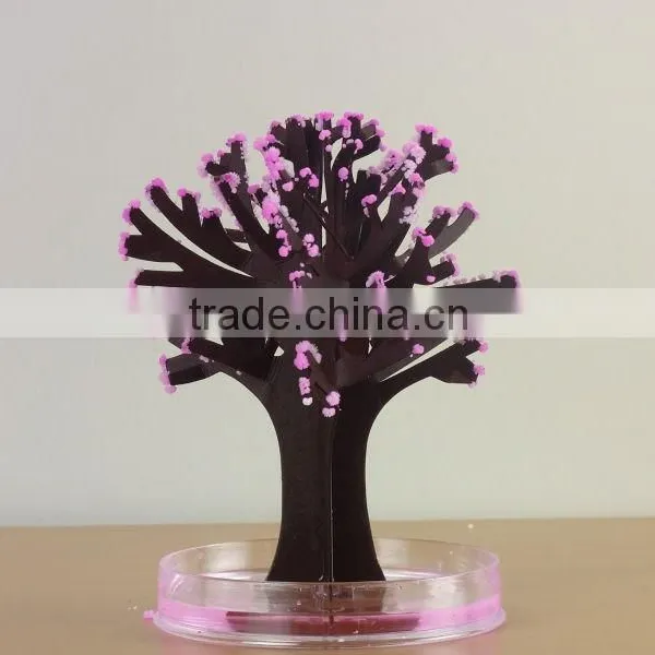 [Genuine]Magic Sakura