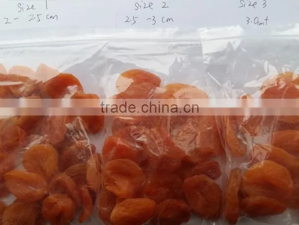 Chinese Dried Apricot for Sale photo-2