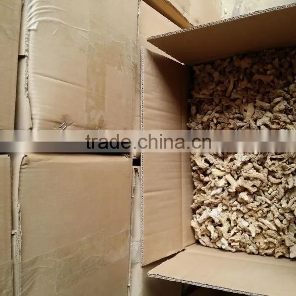 We Are Supply Dried Ginger With Good Price photo-3
