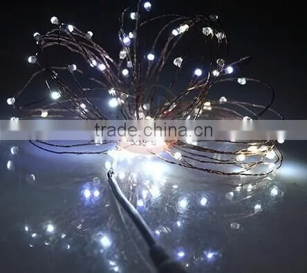 110v 220v IP65 Christmas Decoration LED Copper Wire String Light photo-5