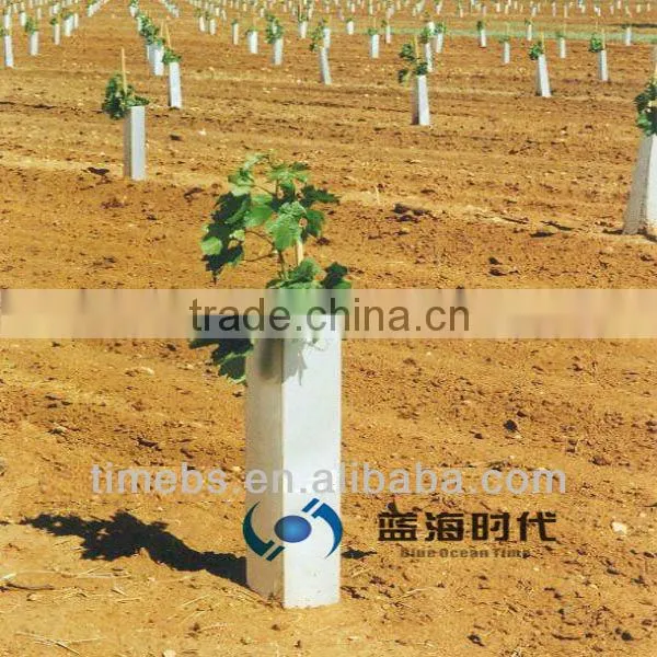 Corflute Plastic Tree Guards photo-4