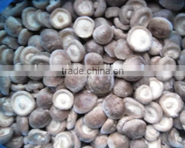 Hot Sell Fresh Frozen Mushroom photo-4