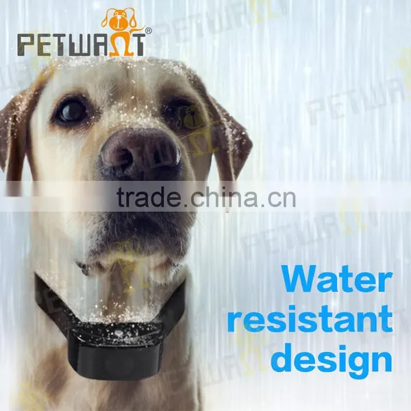 New Style Pet Training Products Unique Dog Training Collar Waterproof photo-6
