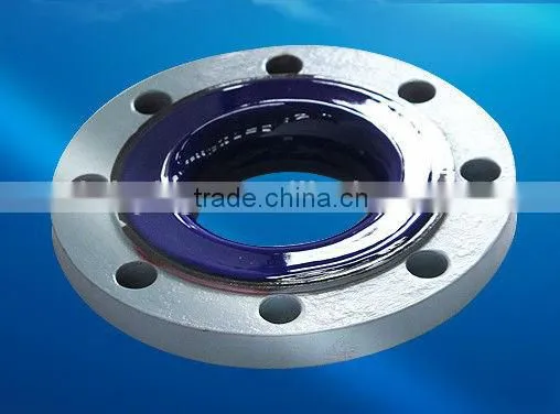 Glass Lined Piping and Fitting photo-2