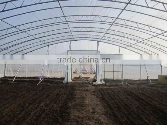 Large Multi-span Commercial Agriculture Greenhouse photo-2
