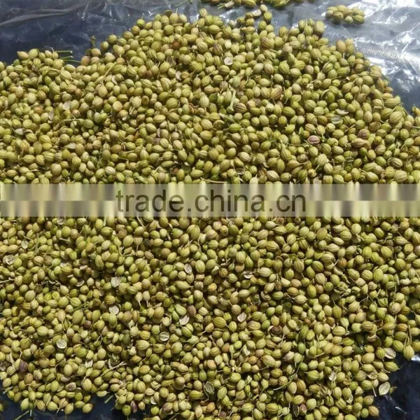 Eagle Coriander Seeds photo-3