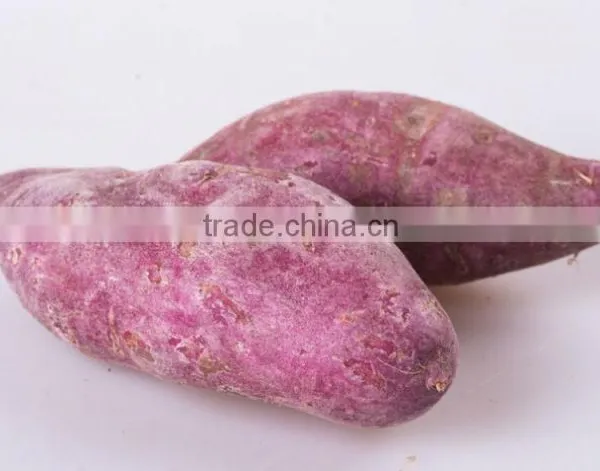 Fresh Sweet Purple Potato/red Skin Potato photo-4