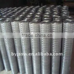 Galvanized Welded Wire Mesh