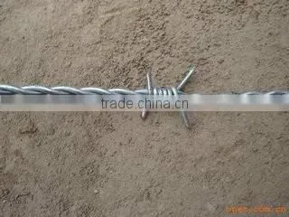 Hot Dipped Galvanized Barbed Wire Price per Roll Barbed Wire Fence Design photo-3