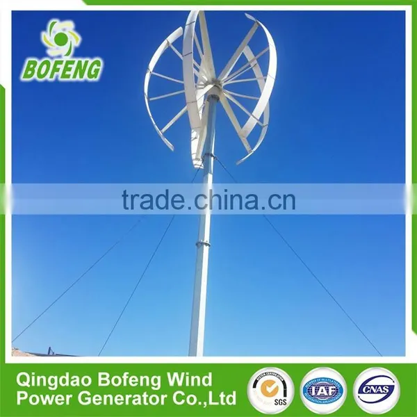 Iso9001 Quality Reliable Quality 12v Vertical Axis Wind Generator Home photo-5