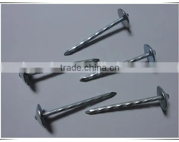 1"*11G Galvanized Umbrella Head Plain and Ring Shank Roofing Nail (factory) photo-2