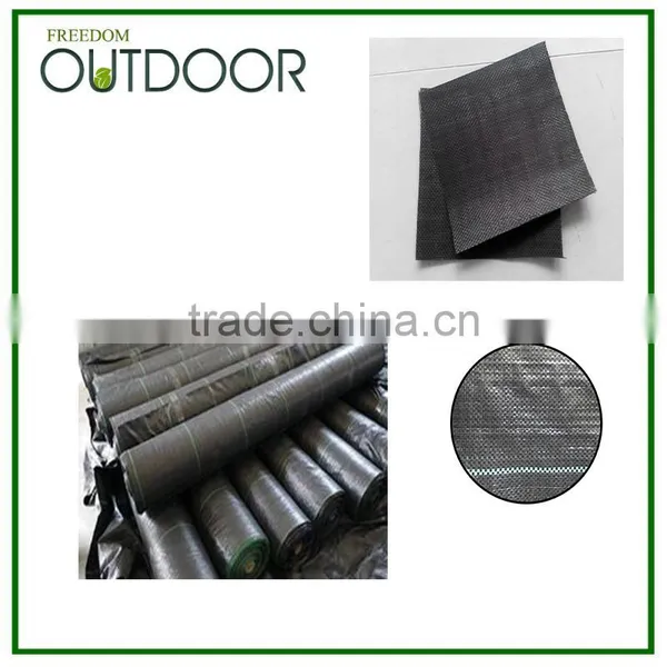 Anti UV PP Woven Fabric Roll for Agriculture photo-4