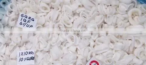 Squid Rings photo-2