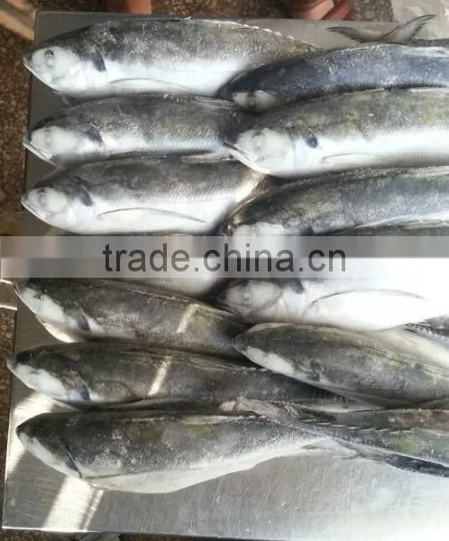 Bagoong Jack Mackerel photo-2