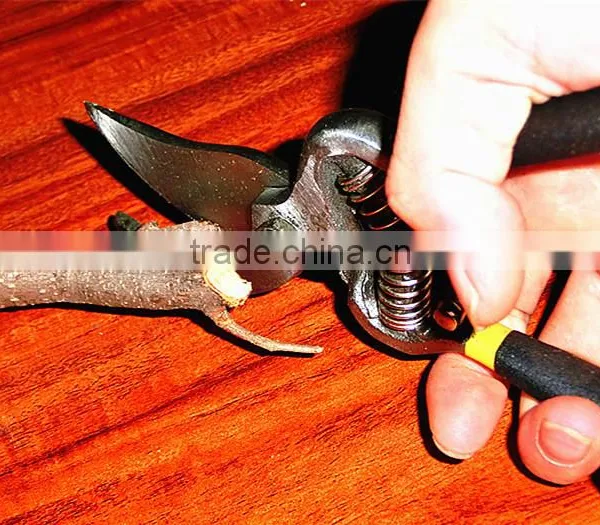 Stainless Steel BY-pass Pruners photo-3
