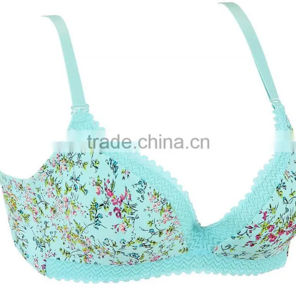 HSZ-58070 New Design Breathable Large Size Bra Underwear For Woman Bra Factory In China photo-2