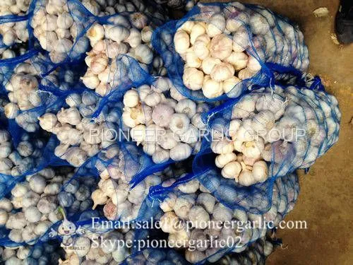New Crop 5.5cm Normal White Fresh Garlic In 10 kg Mesh Bag Packing photo-2