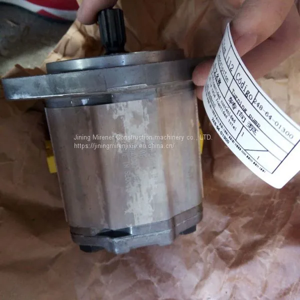 Shantui Road Roller SR16 Steering Pump Assy 248-64-01300 Shantui SR16 Pump Assy photo-2