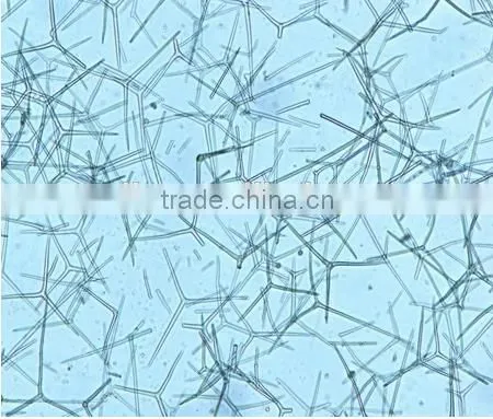 High Quality Zoology Slides ,high Quality Animal Slides photo-5