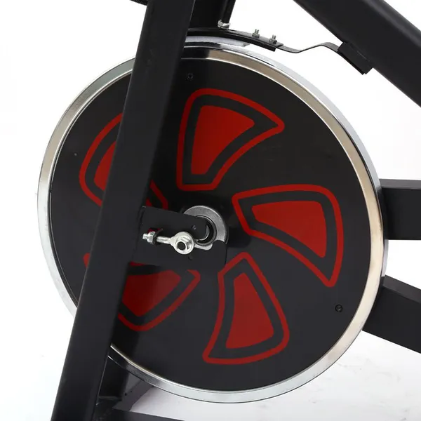 Wholesale Fitness Gym Machine Sunny Bicycle Exercise Spin Recumbent Bike With Comfortable Seat Cushion Silent Belt Drive photo-4
