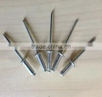 Factory Price Aluminum Blind Rivet photo-2