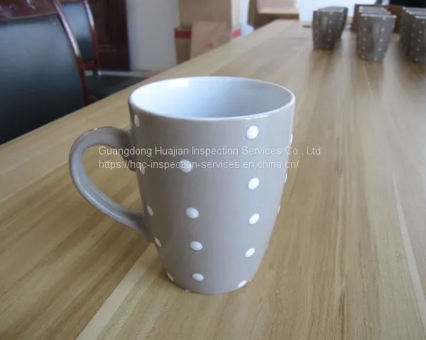 Mug Professional Inspection on Site Inspection photo-4