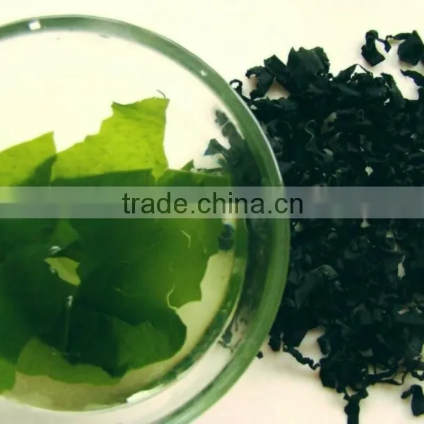 Dried Roll Wakame Cut Seaweed, Sea Mustard for Food photo-2