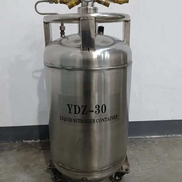 Stainless Steel Liquid Nitrogen Tank YDZ-30 Manufacturer Wholesale Price Discount photo-5