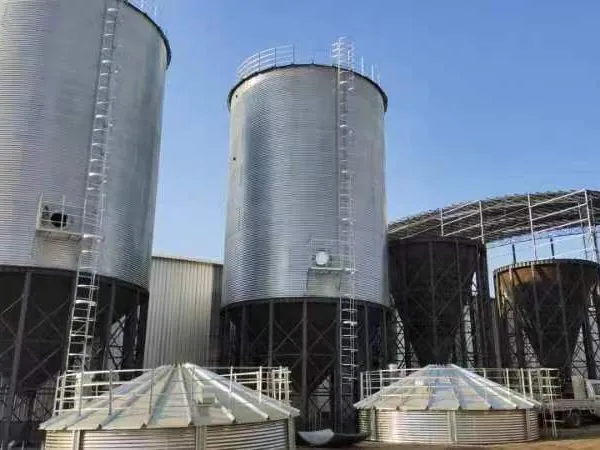 500T Hopper Bottom Grain Silo for Corn Wheat Rice Soybean Paddy Grain Storage System photo-5