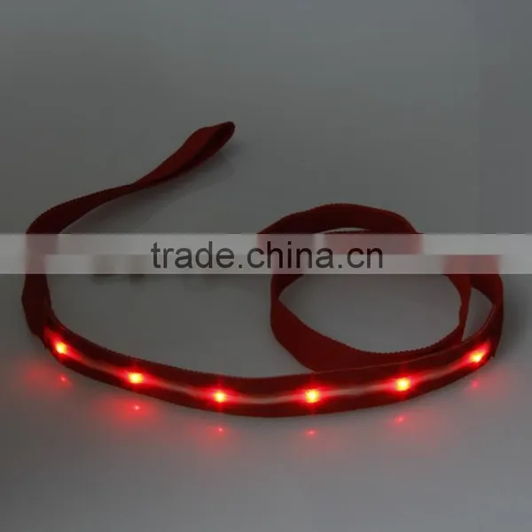 Led Light Bar Dog Leads, Wholesale Dog Products Led Dog Leashes in Stock! photo-6