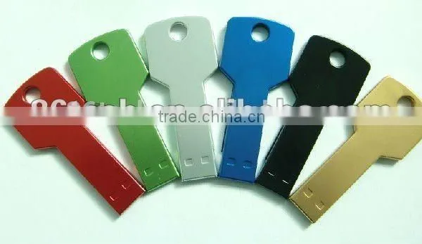 2016 Christmas Gift 2GB Usb Flash Drive Key Chain From Shenzhen Factory Colorful Choice Quality Choice photo-3