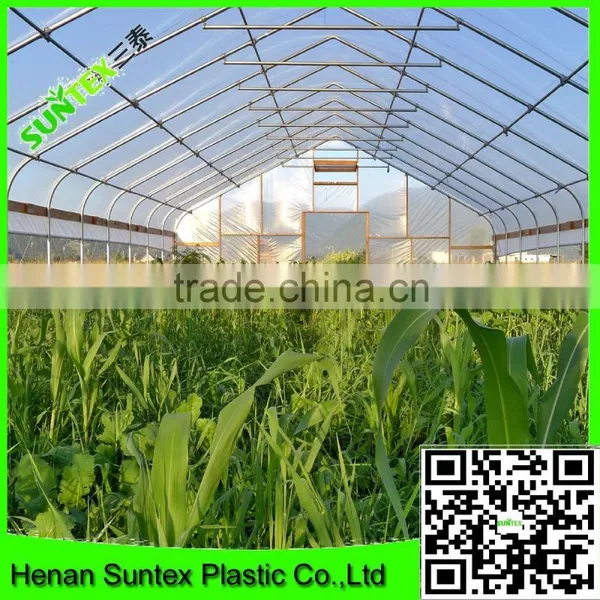 Agricultural Plastic Greenhouse Film/anti Sunheat Reflective Film/greenhouse Cover Film photo-5