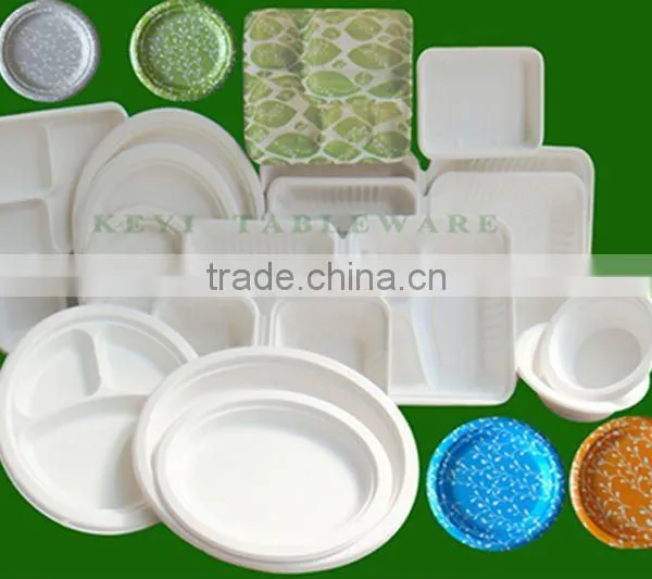 paper tableware
