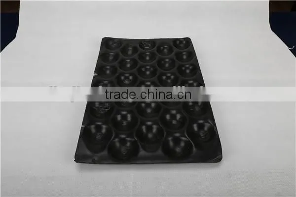 PS Plastic Fruit Tray photo-3