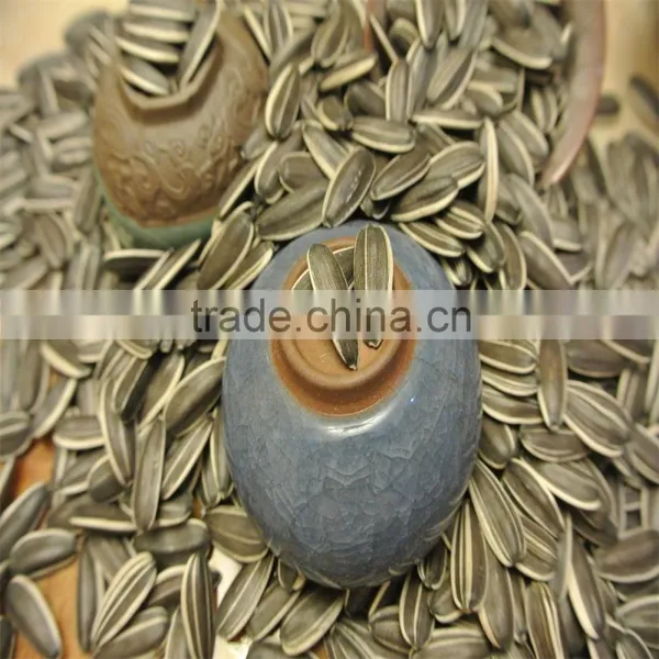 High Quality Raw Sunflower Seeds for Oil Price photo-2
