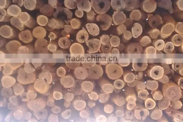 AAA GRADE CERTIFIED & GENUINE AUSTRALIAN SANDALWOOD