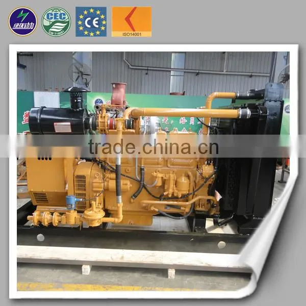 High Efficient Global Warranty ac 3ph Natural Gas Generator photo-4
