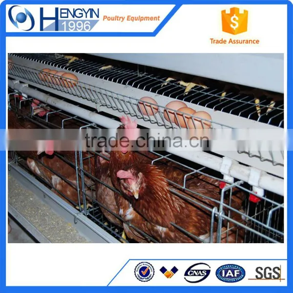 Popular Selling Layer Cage Chicken Cage Layer Cages for Sale photo-2