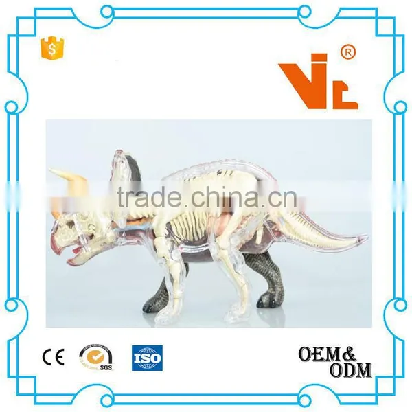 V-AM054 4D MASTER Triceratops Dinosaur Specimens Anatomical Model photo-4