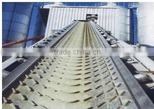 All Kinds of Types and Different Pattern Shapes of Patterned Conveyor Belt on Sale photo-5