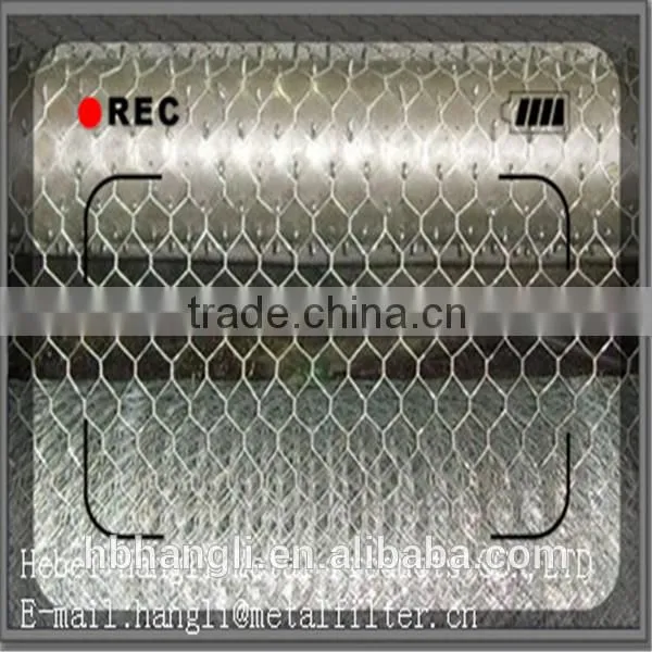 2015hot Sale China Supplier Low Price Stainless Steel Hexagonal Wire Netting photo-5