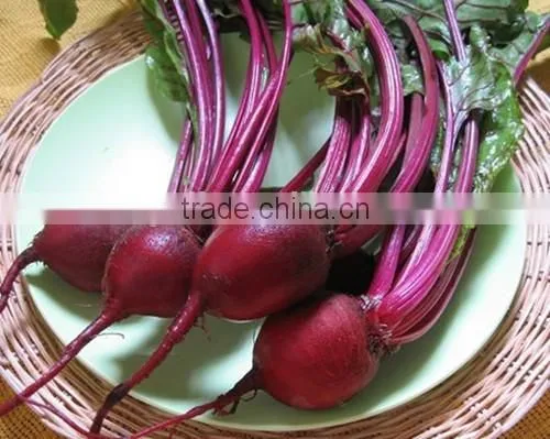 Canned Beetroot Dices A10 photo-6