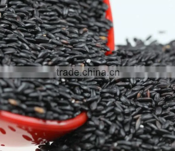 High Quality Organic Black Rice From China photo-2