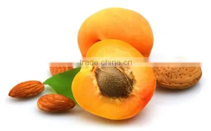 APRICOT KERNEL OIL photo-5