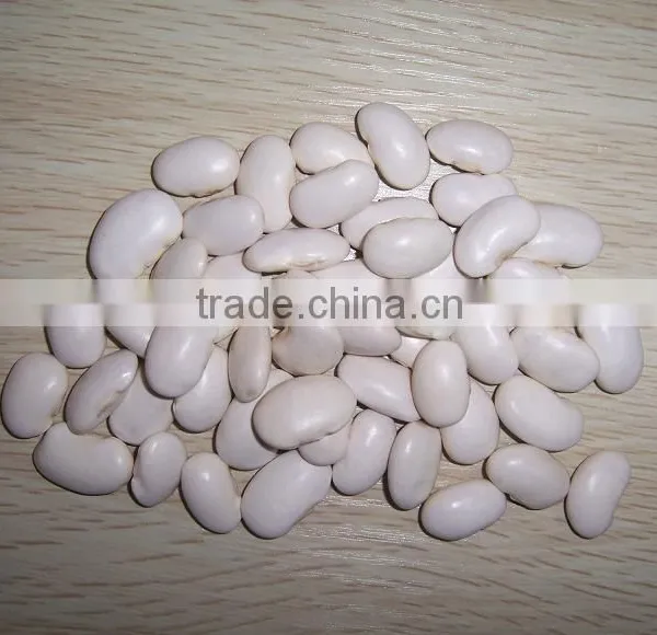 2015 Good Quality Large White Kidney Beans for Wholesale photo-4