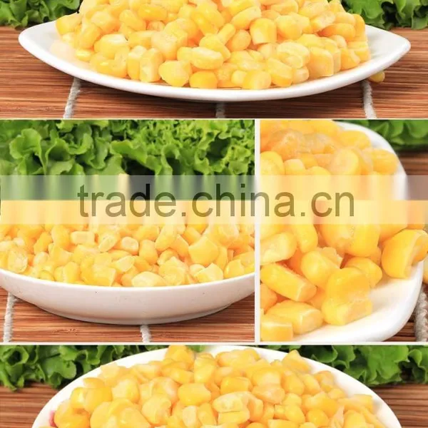 Grade A Quality Frozen IQF Sweet Corn Kernel photo-3
