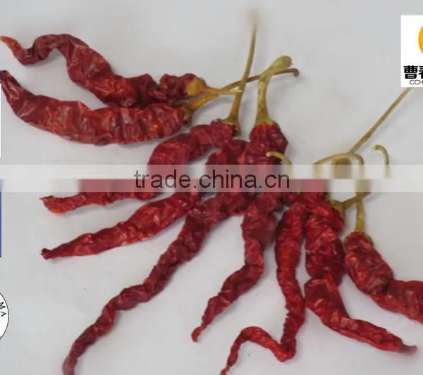 Authentic Meduim Spicy Dried Red Xian Chilli photo-2