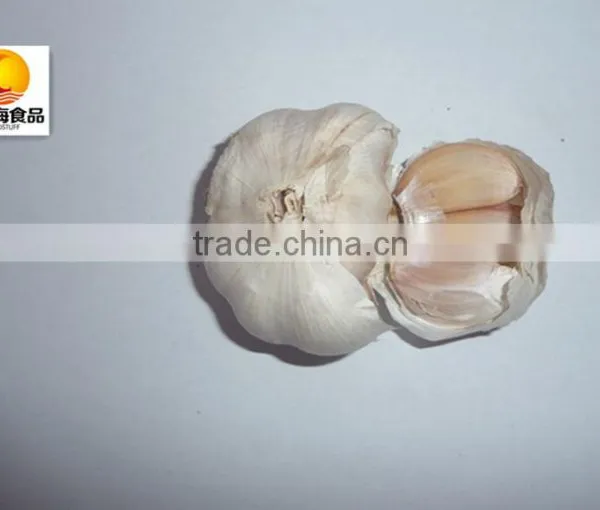 Dehydrated Vegetable Air Dried White Garlic photo-2