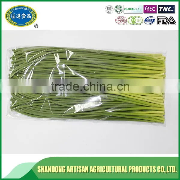 Chinese Garlic Sprout,garlic Shoot photo-4